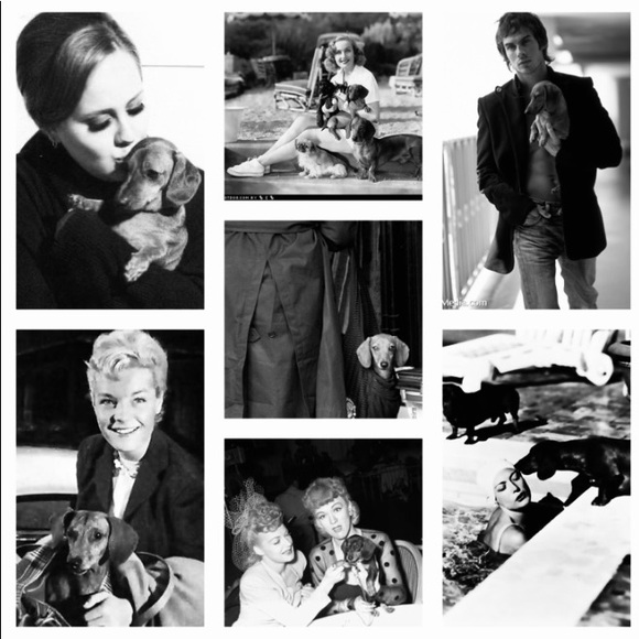 🌟Dachshund Pals Wall Art - Picture 9 of 16